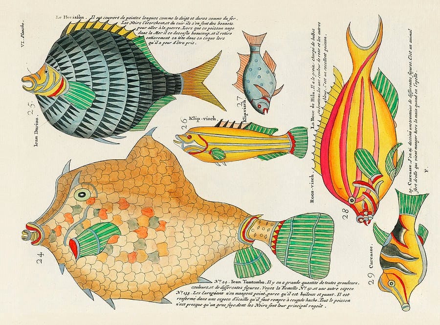 Louis Renard's Poissons, Ecrevisses et Crabes, de Diverses Couleurs et Figures Extraordinaires (1754)