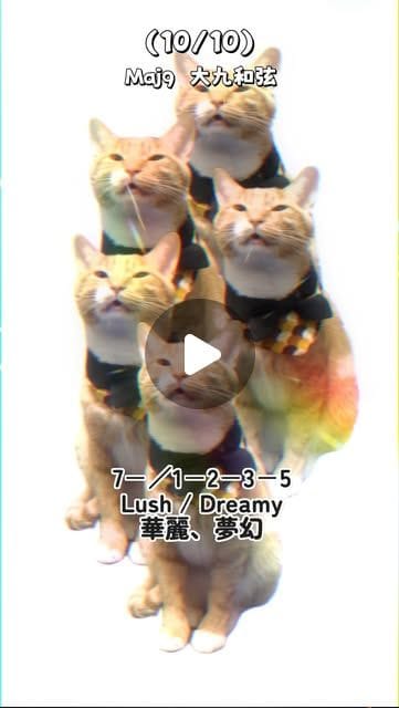 Cat chord structures