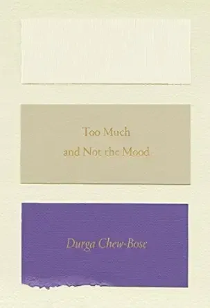 Too Much and Not the Mood: Essays