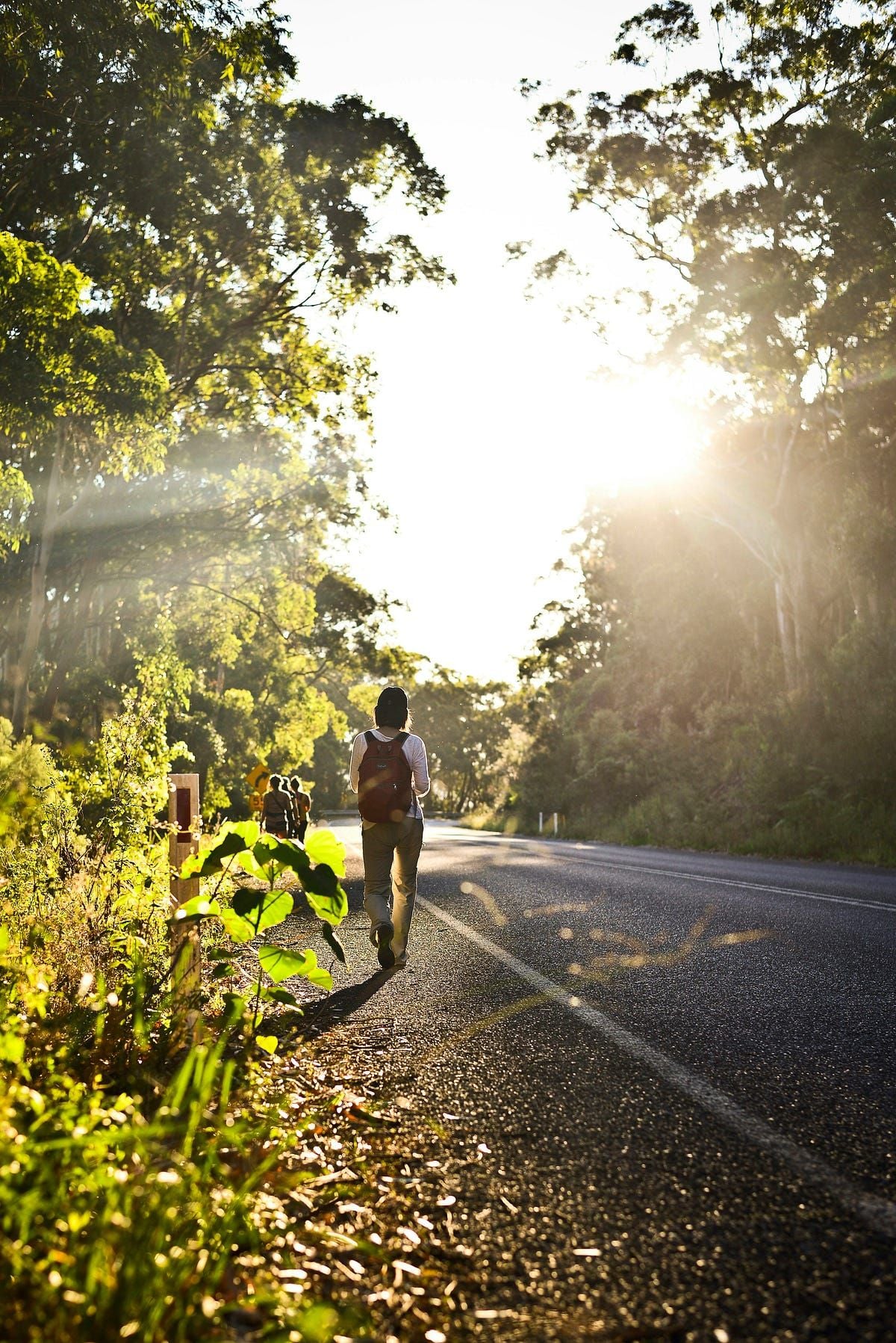 Crisp morning walks