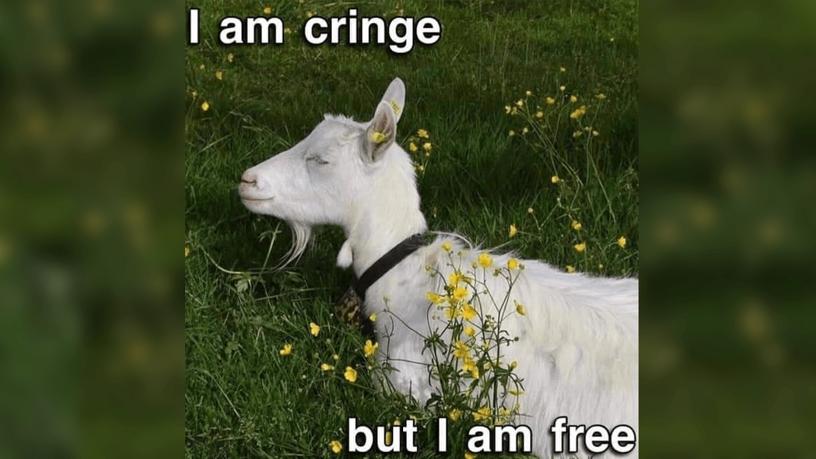 Be “cringe”