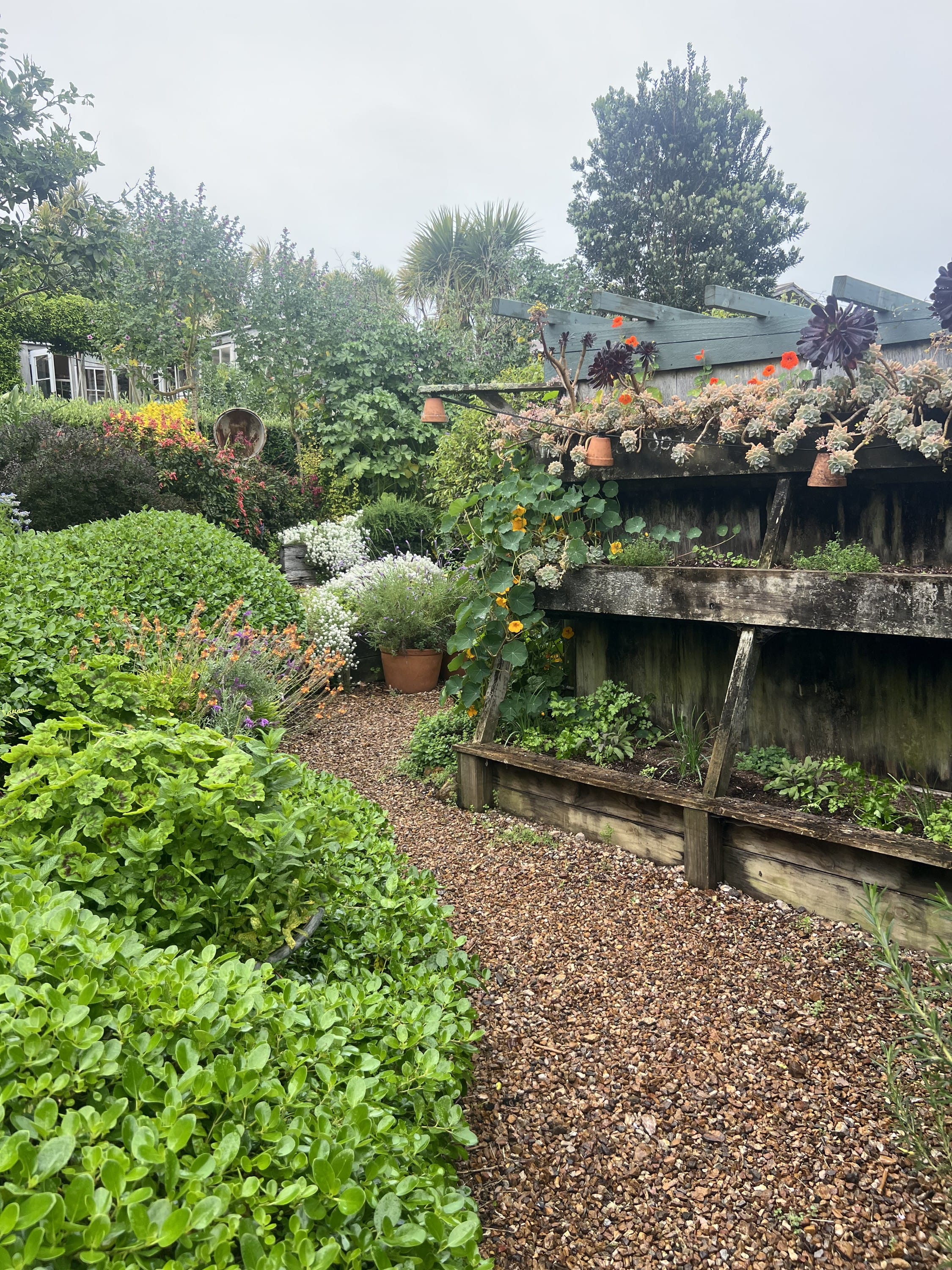 The Boatshed Hotel Kitchen Garden Waiheke Island NZ