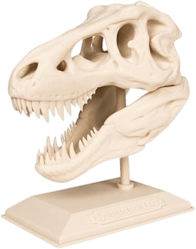 3D Printable T-Rex Skull