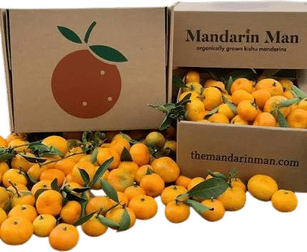The Mandarin Man Mandarins