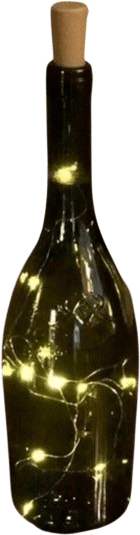 Fairy lights in wine bottle