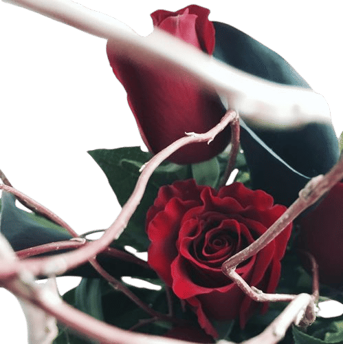 Starbright Floral Design