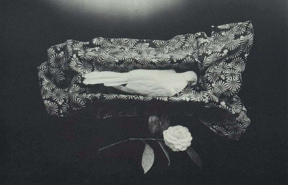 Yamamoto Masao