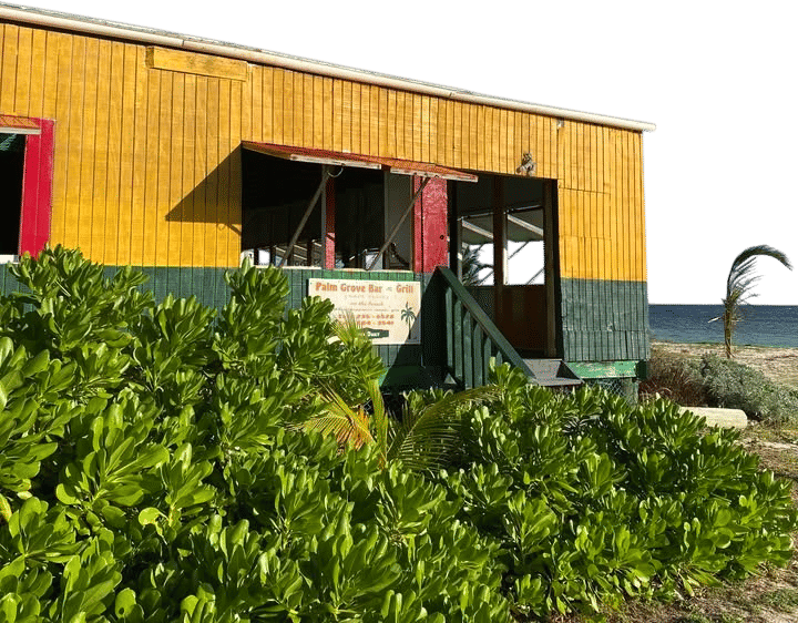 Palm Grove Bar and Grill - Nat's Place | Junks Hole