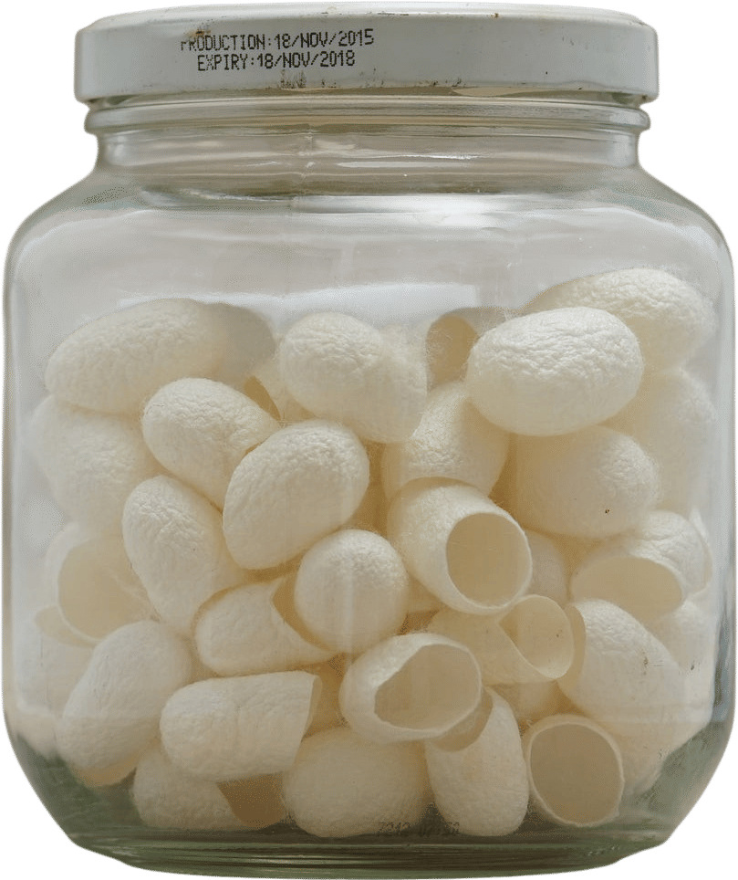 Exfoliating Silk Cocoons
