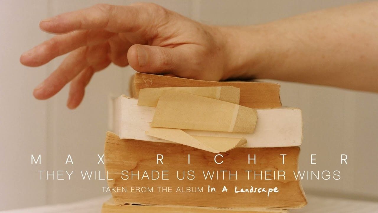 They Will Shade Us With Their Wings by Max Richter
