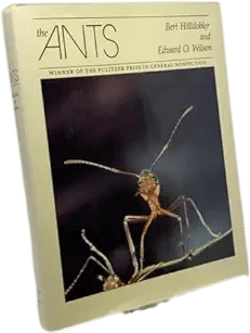 The Ants (Bert Hölldobler & Edward O. Wilson) (1990)