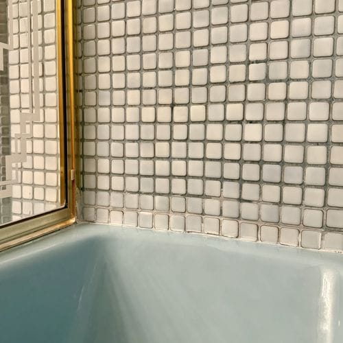 my aunt’s gorgina guest bathroom shower