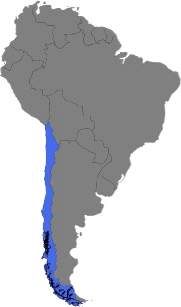 Chile