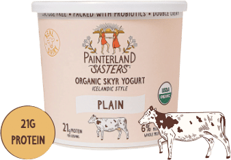 Painterland Sisters Organic Plain Yogurt