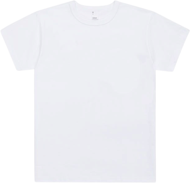 3sixteen white tee