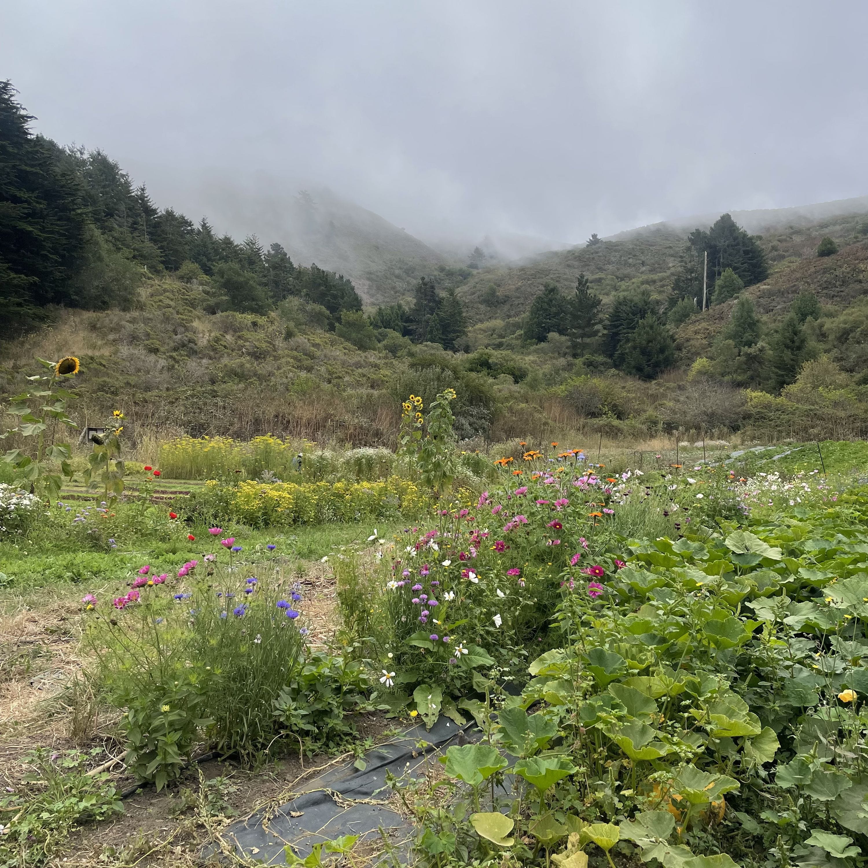 Green Gulch Zen Center & Farm
