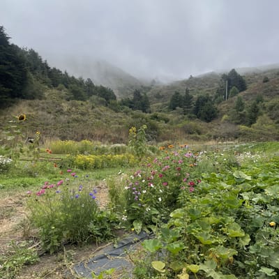 Green Gulch Zen Center