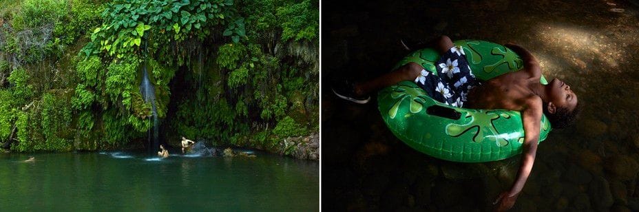 Swimming in the Wild