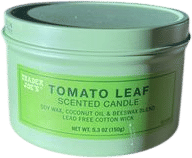 Trader Joe’s Tomato Leaf Candle