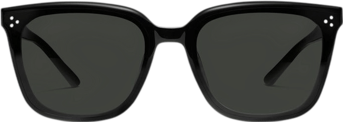 Gent 01 Sunglasses