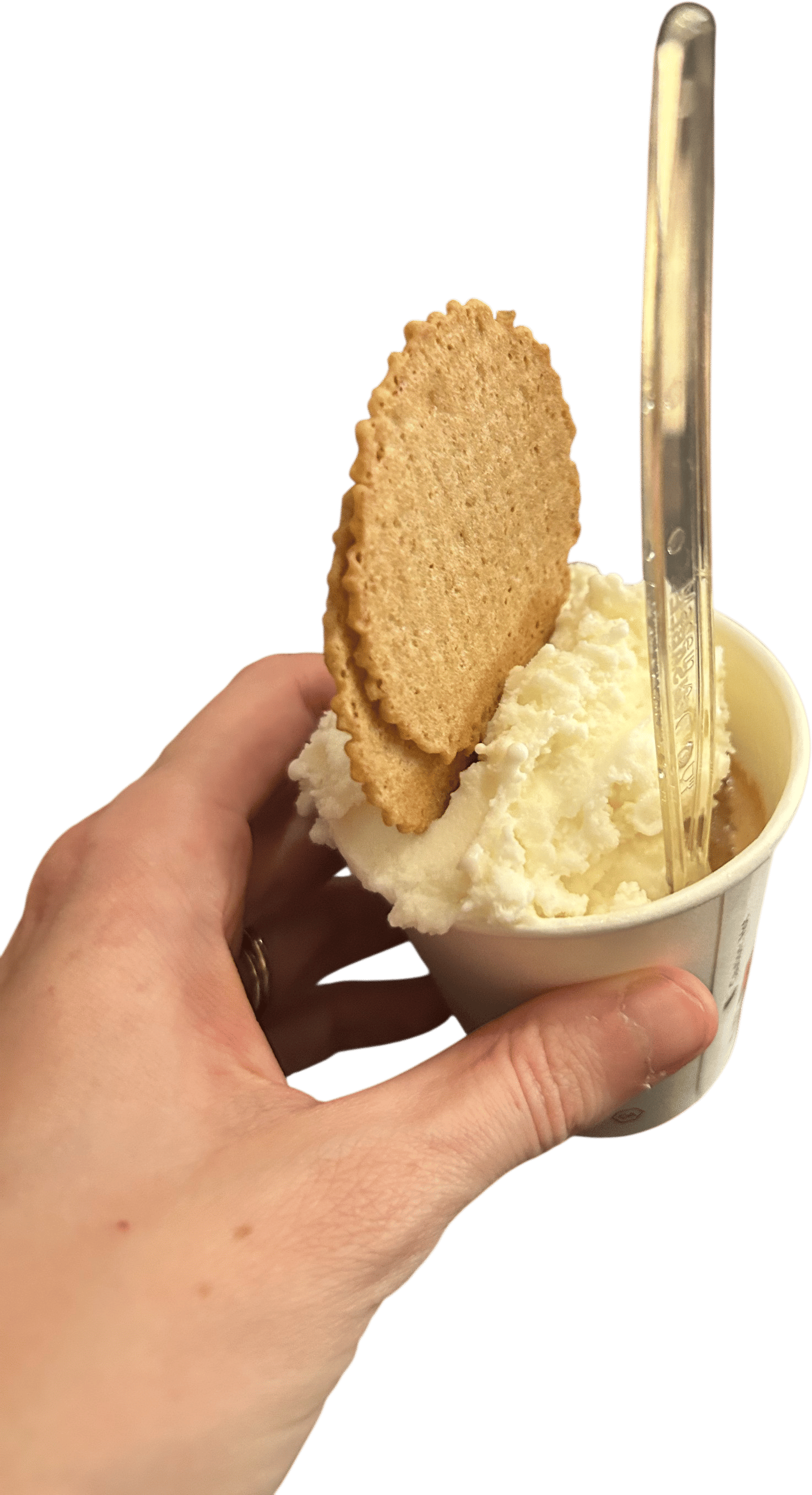 Fior di latte affogato from Fiocco Di Neve