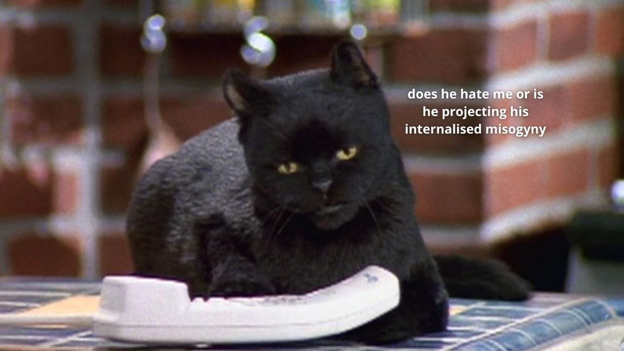People who don't like cats