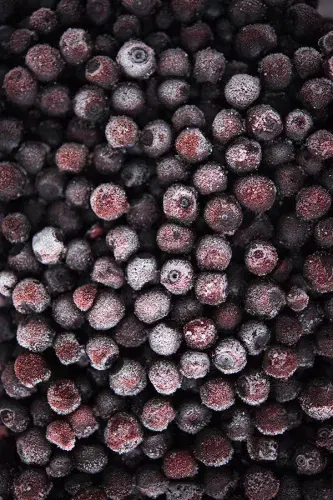 frozen wild blueberries