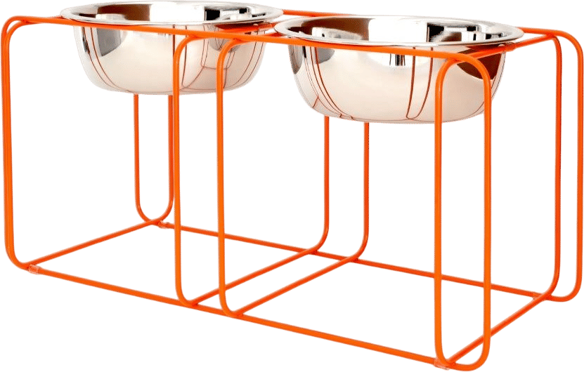 design award-winning dog bowl stand