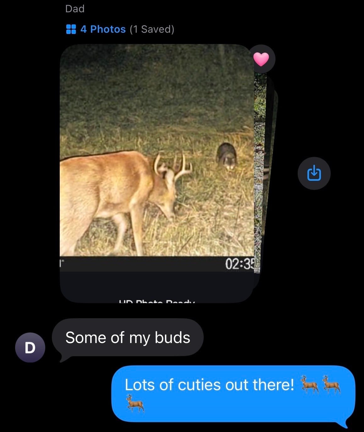 Dads love Trail Cams
