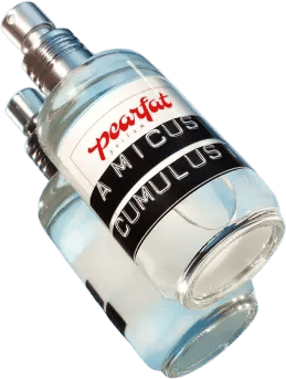 Amicus Cumulus