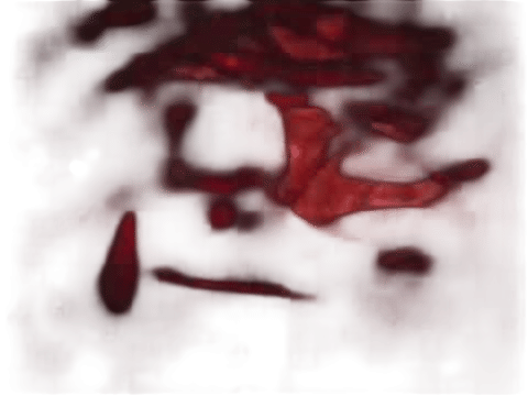 A Sun That Never Sets