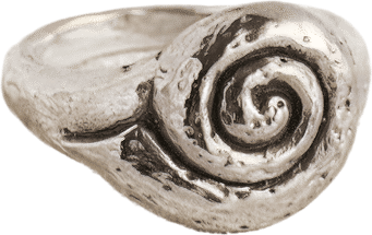 Nautilus Shell Ring