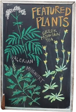 OAEC online plant catalog