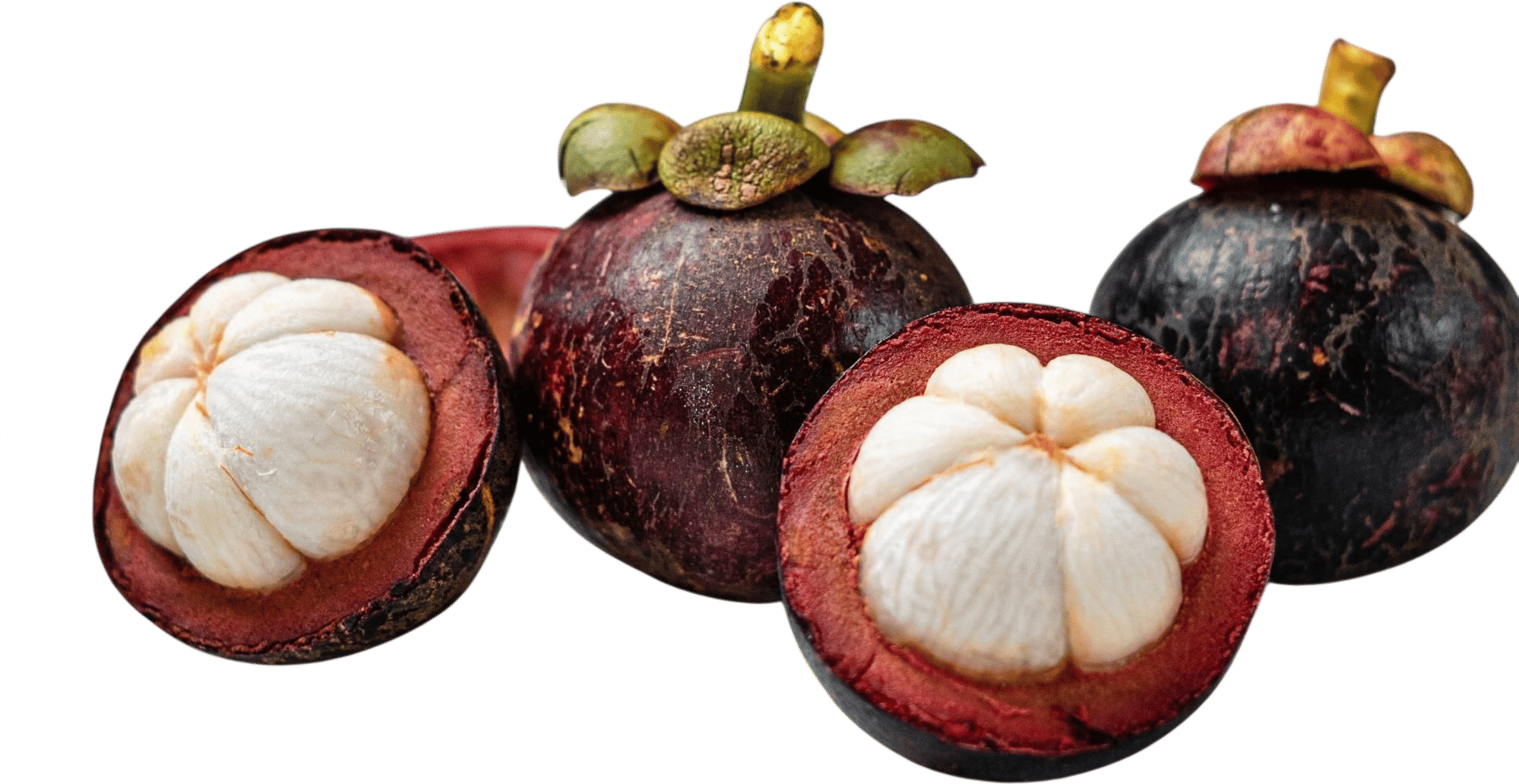 Mangosteen