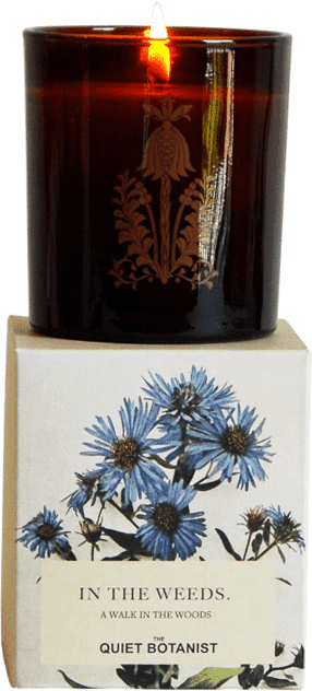 The Quiet Botanist: In The Weeds Candle