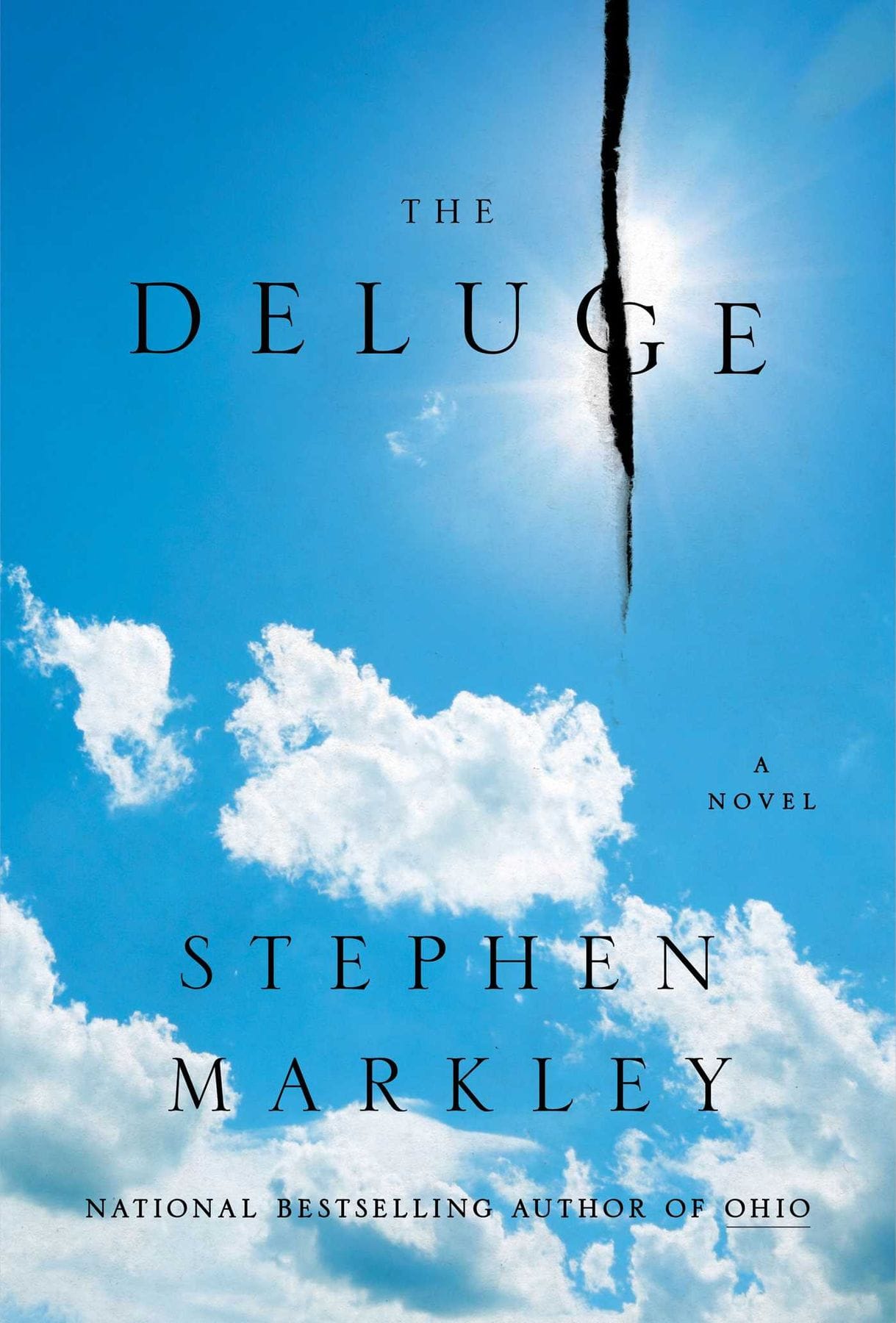 the deluge by stephen markley