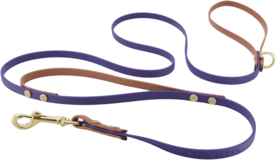 BioThane Dog Leash