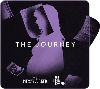 In the Dark: The Journey - investigating a surrogacy scandal