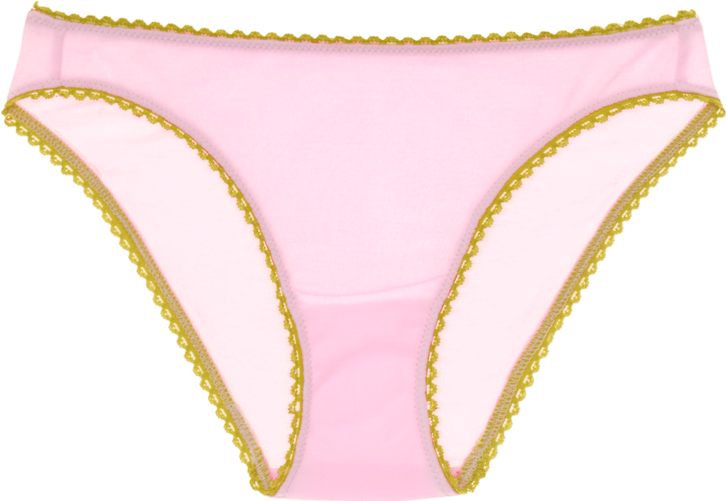 Araks Isabella Panty