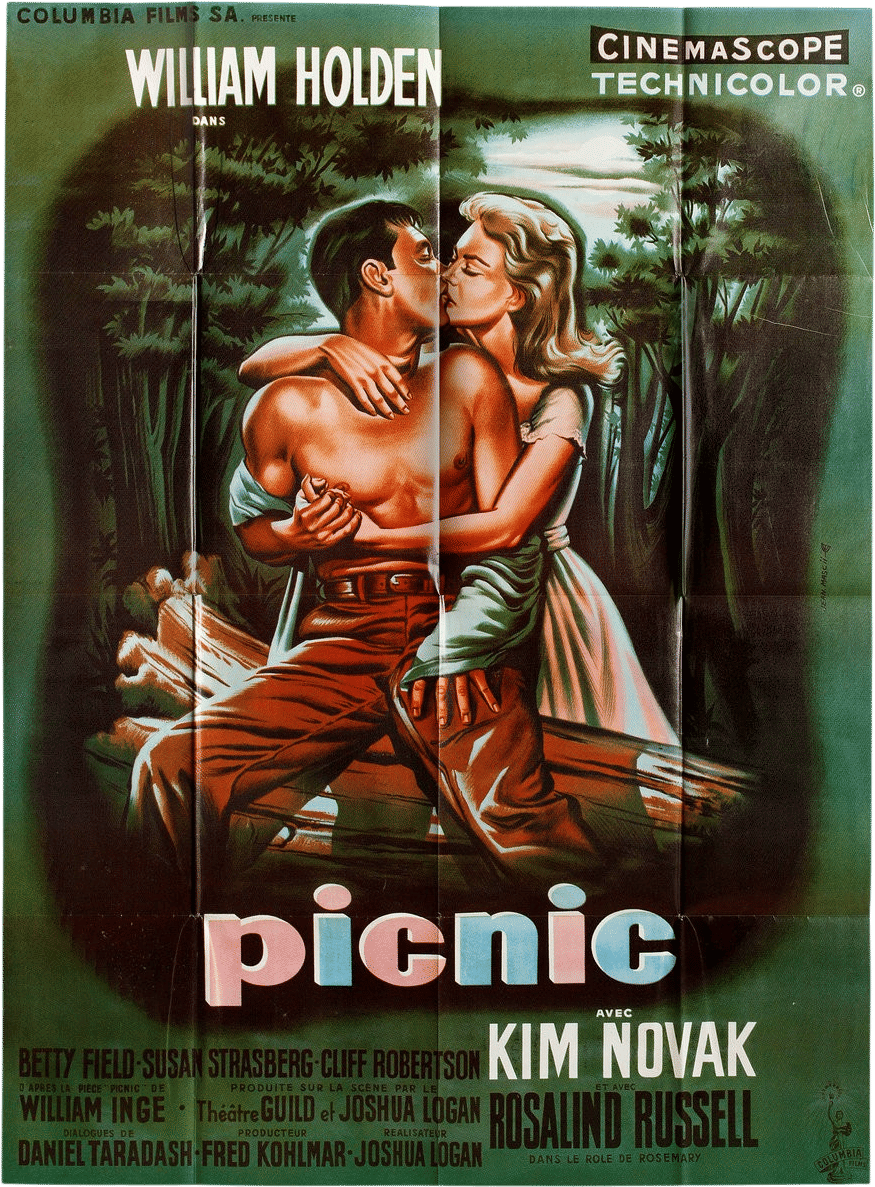 Picnic (DVD)