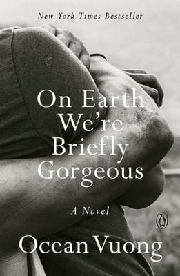 On Earth We're Briefly Gorgeous: A Novel (Paperback)