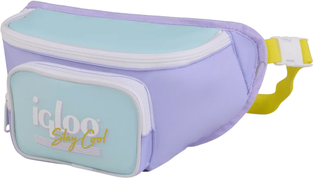 Retro Fanny Pack
