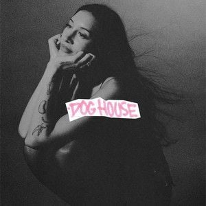 doghouse