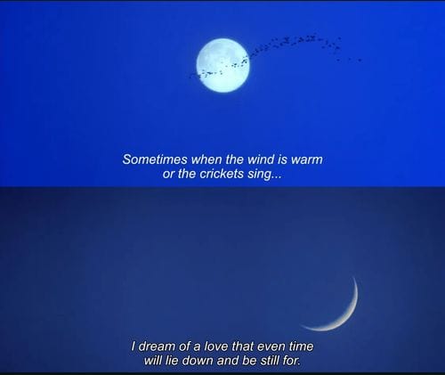 Practical Magic, 1998, Dir. Griffin Dunne