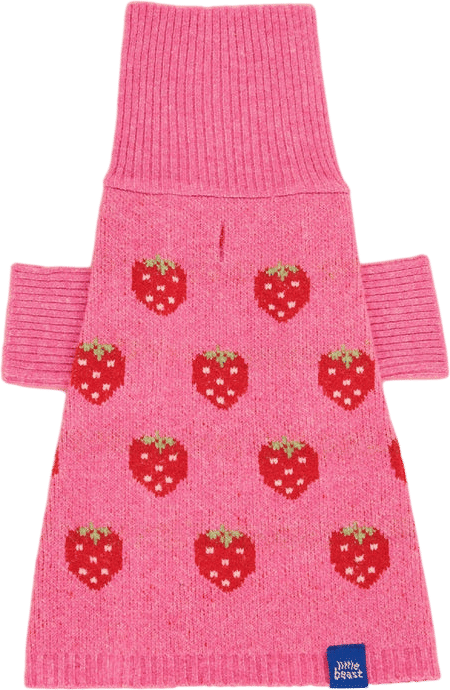 Little beast dog sweater