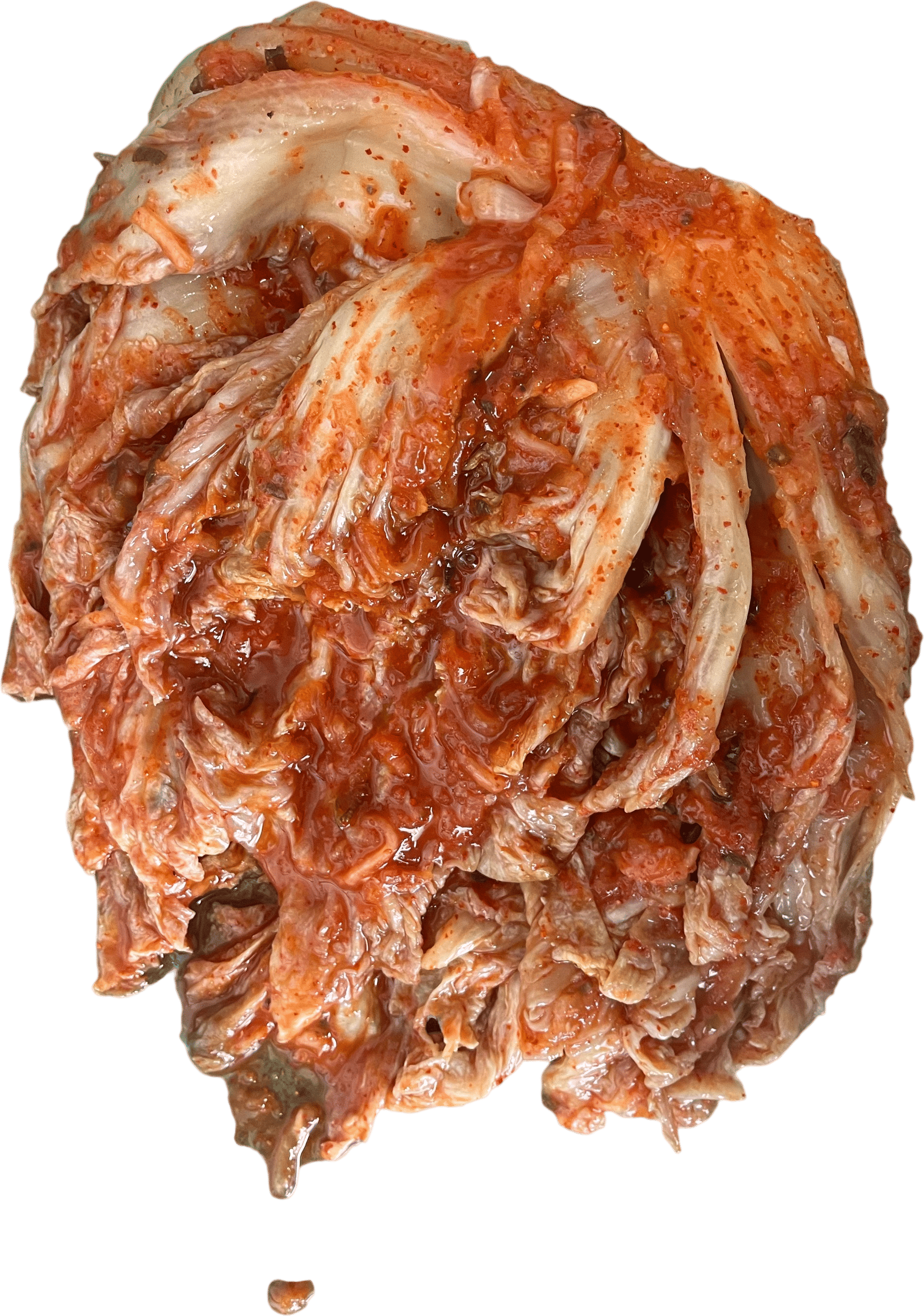 Whole Cabbage Kimchi Recipe