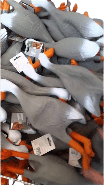 Duck Army