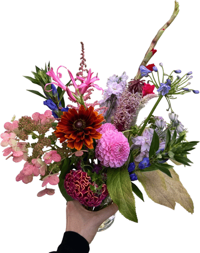 Weekly Flower Delivery