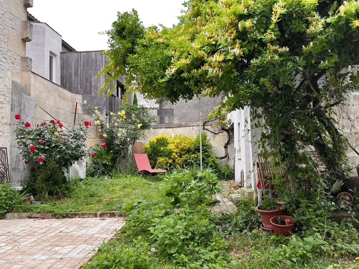 Laisser mon jardin grandir en liberté 