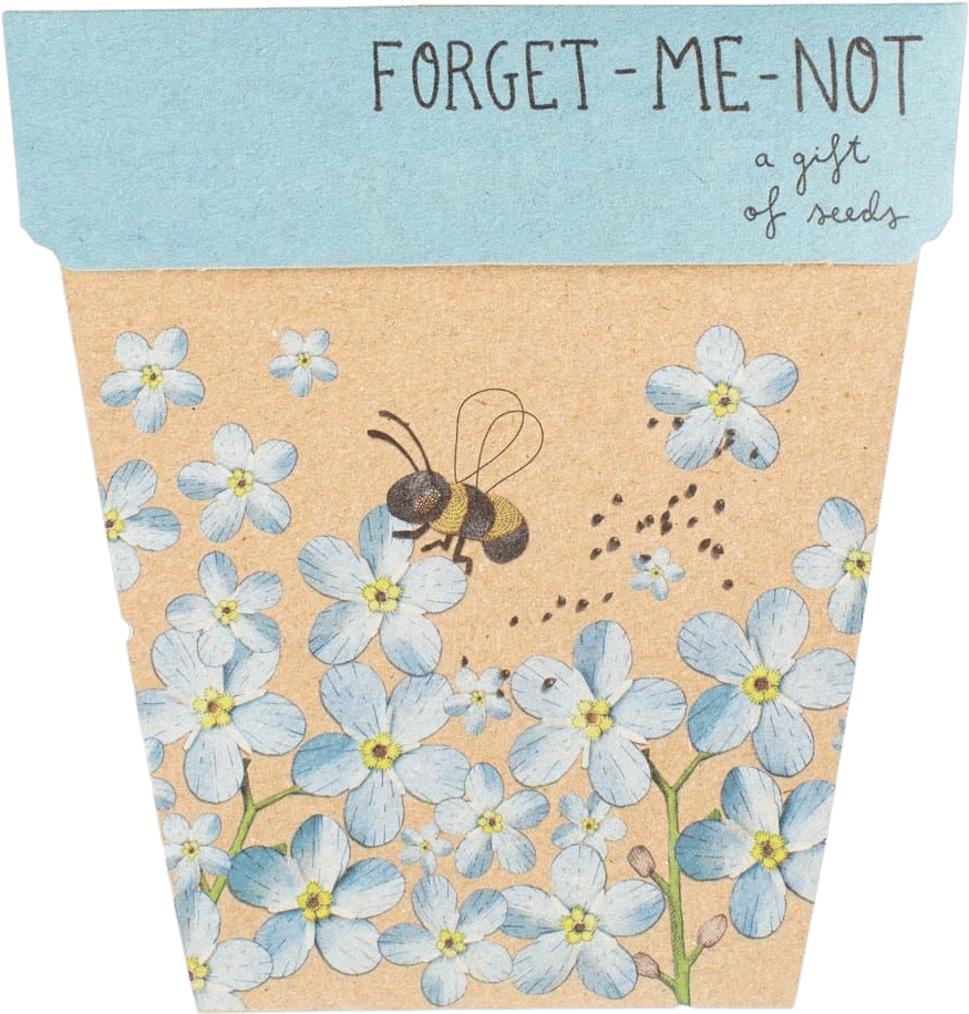 Seed cards